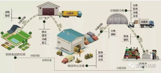 润恒市场关注 水产品冷链物流现状与农产品初加工服务的深度剖析