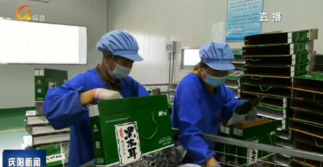 合水 畅通城乡双向流通渠道，打通快递进村最后一公里与农产品初加工服务融合发展