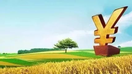 成立仅9个月订单破亿，这家农产品初加工服务商做对了什么？